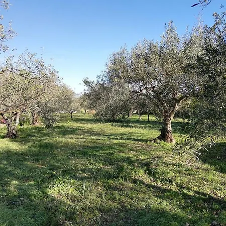 Heron House Appartaments Διαμέρισμα